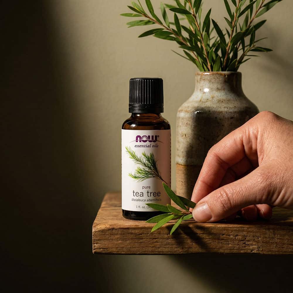 Tea Tree Oil 100% Pure - 1 oz Liquid
