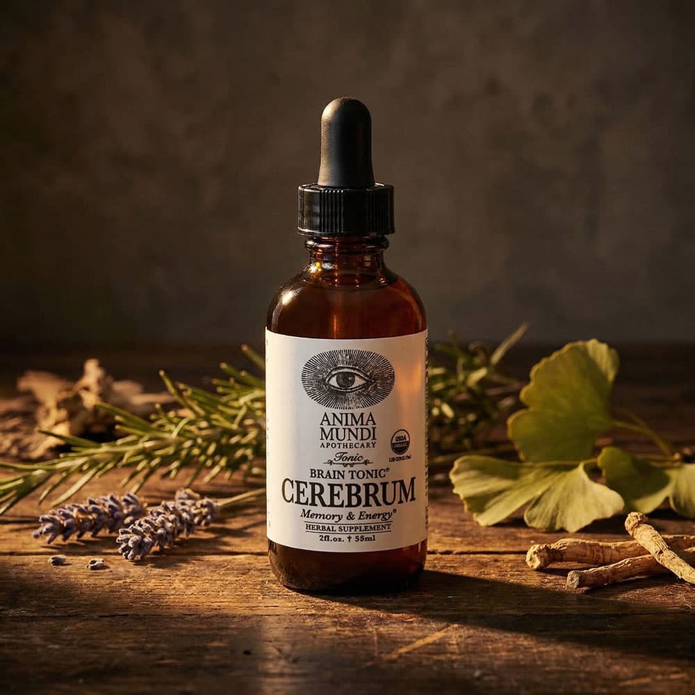 Cerebrum Brain Tonic 10:1 Extract - 60ml Liquid