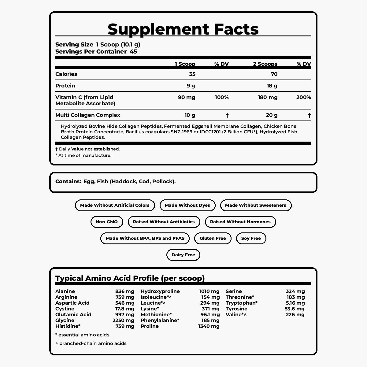 Ancient Nutrition - Multi Collagen + Probiotics - Unflavored - 45 Servings