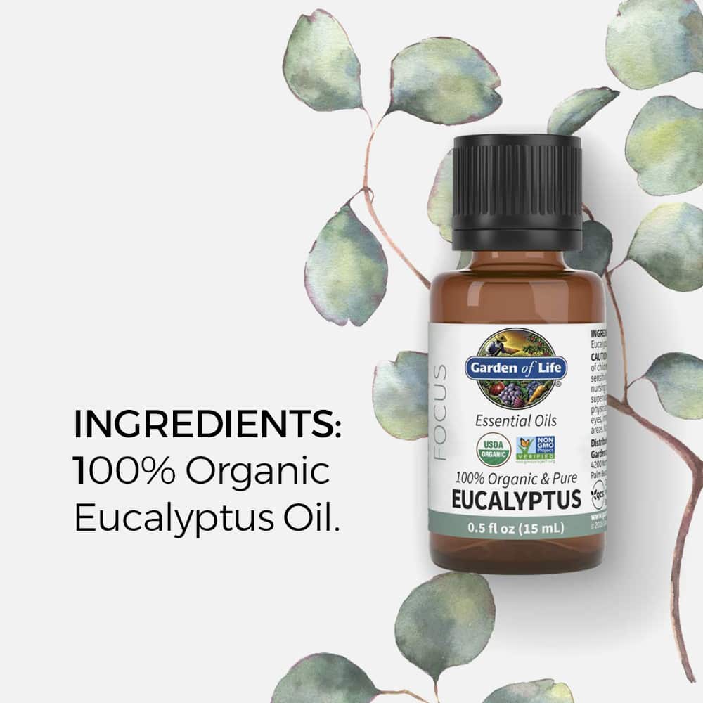 Eucalyptus Essential Oil (Organic) - 0.5 fl oz Liquid