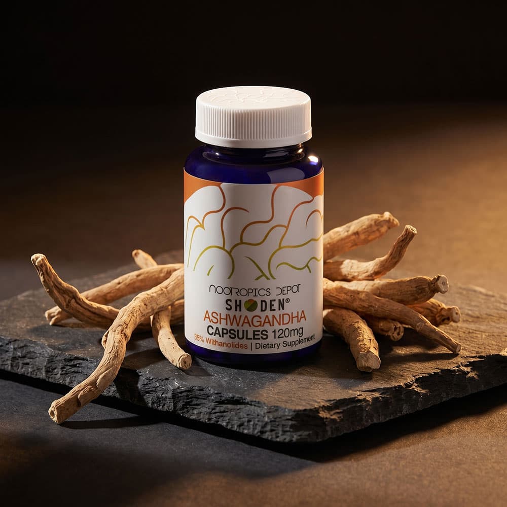 Shoden Ashwagandha Extract 120mg - 30 Capsules