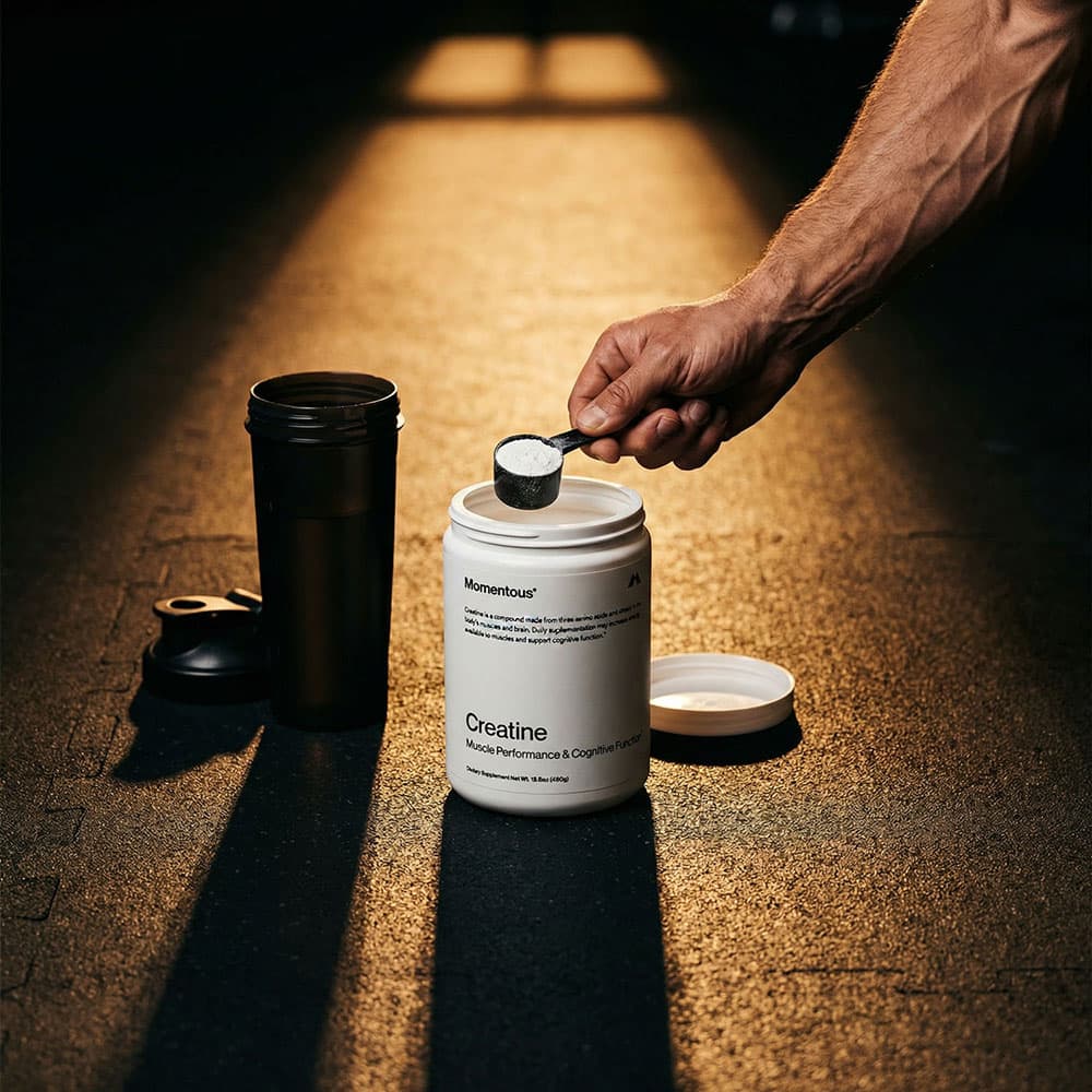 Creatine Monohydrate Powder – Micronized for Enhanced Absorption