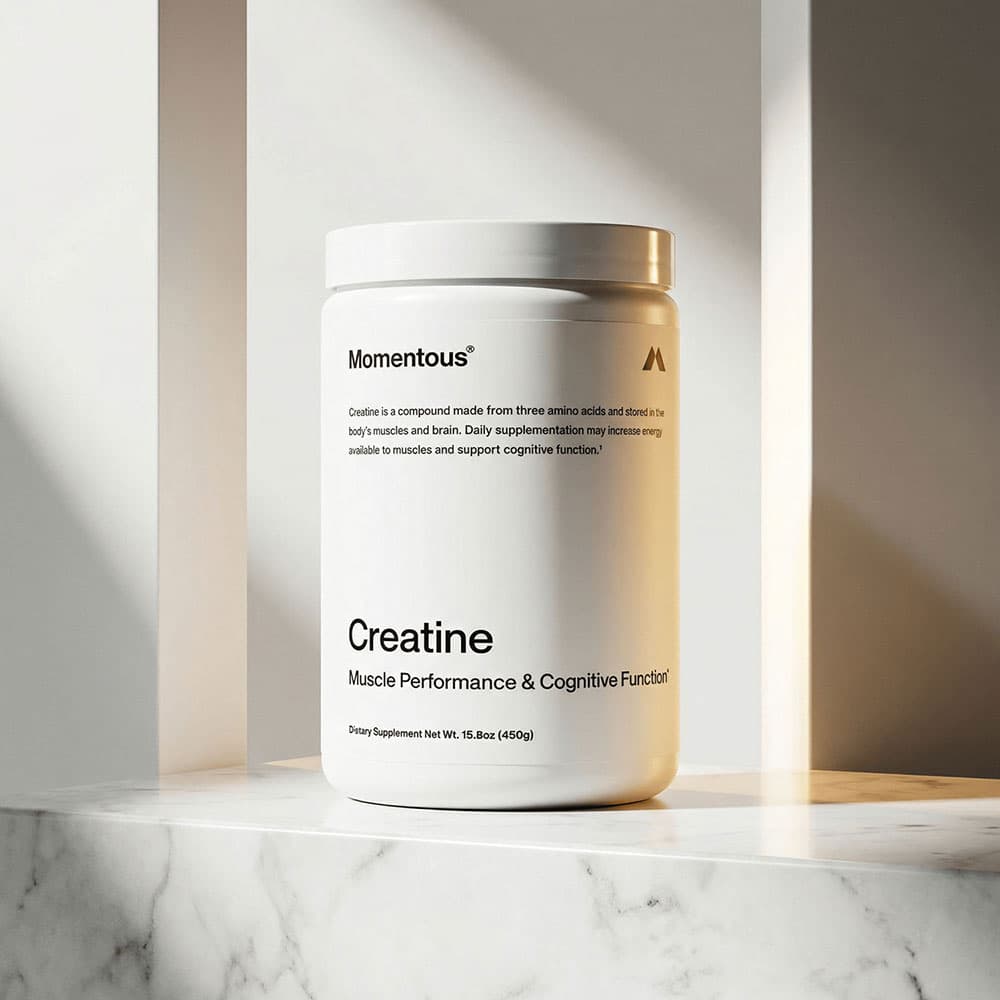 Creatine Monohydrate Powder – Micronized for Enhanced Absorption