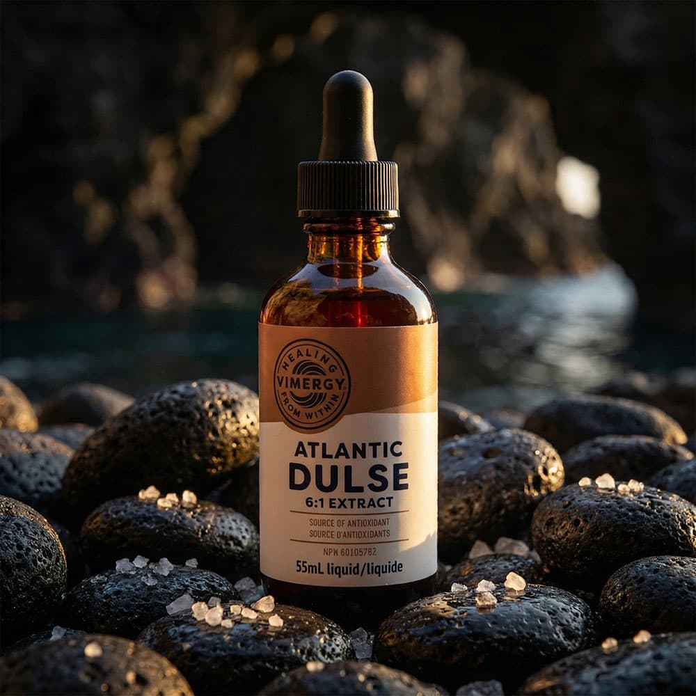 Atlantic Dulse Liquid Extract 1050mg - 55ml Drops