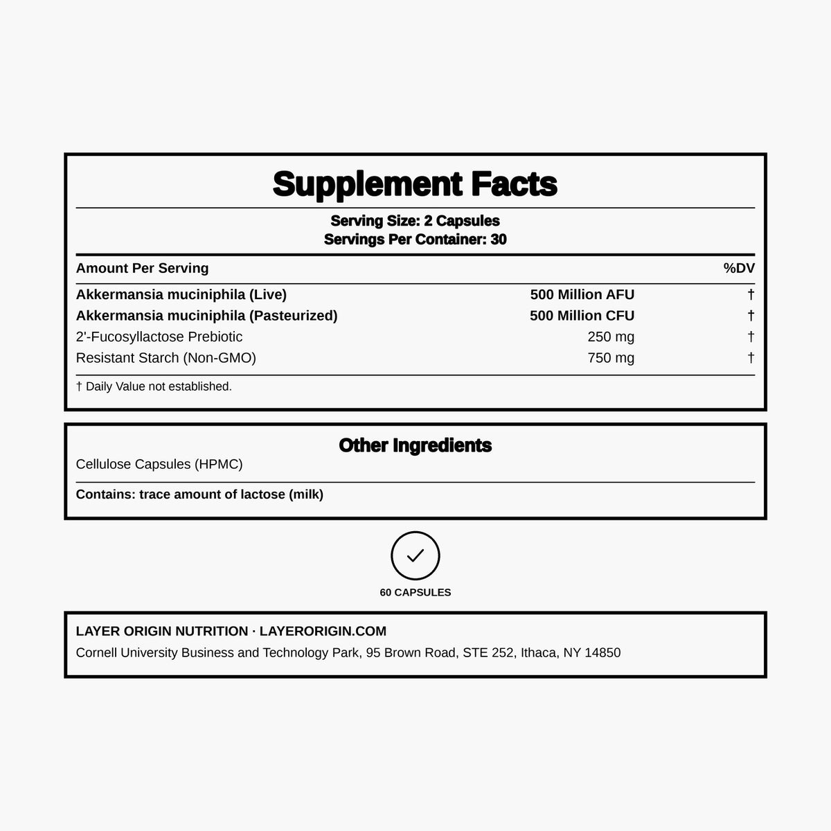 Layer Origin - Akkermansia muciniphila + PureHMO - 60 Capsules