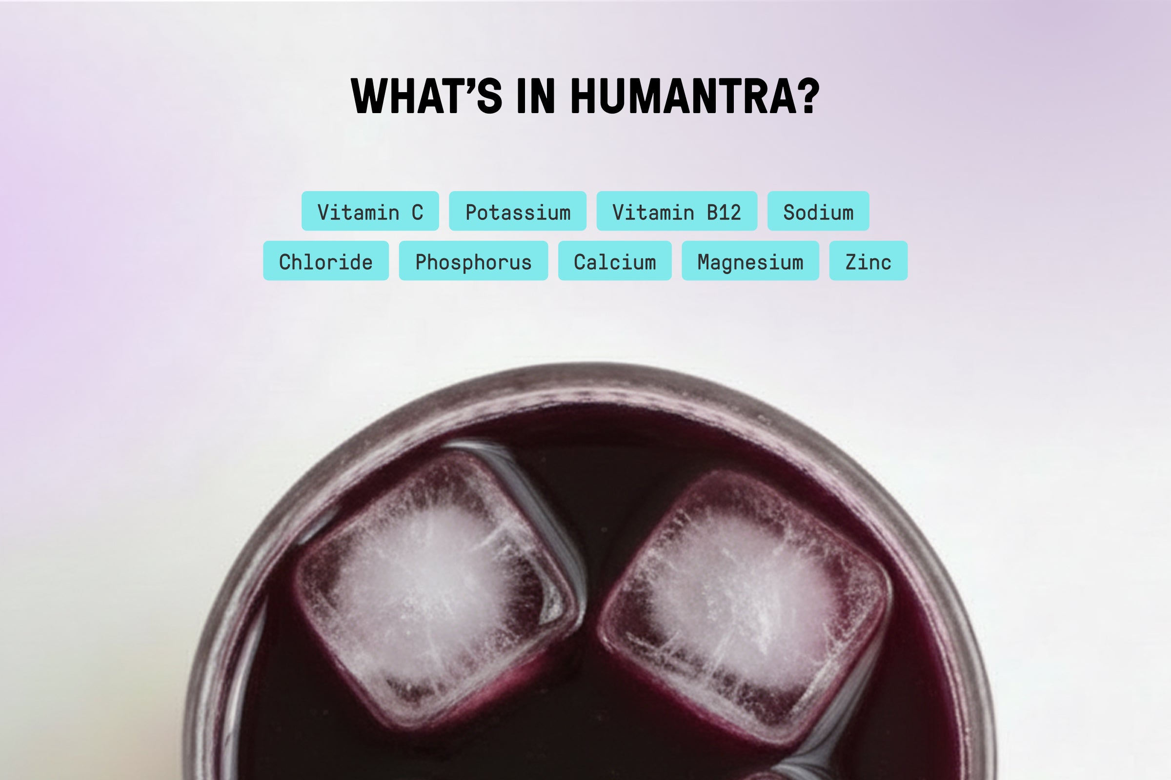 Humantra Electrolyte Powder – Elderberry (20 Sachets) | 6-Electrolyte Hydration | Plant-Based, Vegan, Sugar Free & Gluten Free