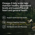 Momentous Omega-3 Fish Oil – 1,600 mg EPA & DHA Daily Support (30 Servings)