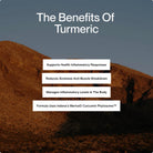 Momentous Turmeric Curcumin 1,000 mg – Antioxidant Support - 60 Capsules