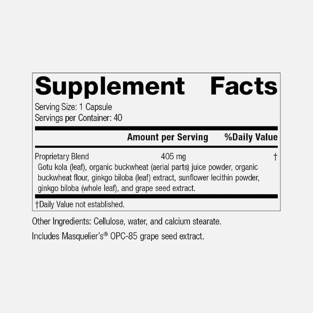 Ginkgo Synergy Brain Support - 40 Capsules