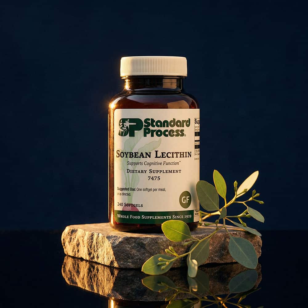 Soybean Lecithin 2400mg - 240 Softgels