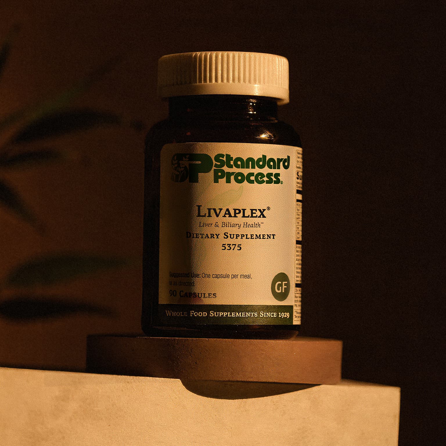 Standard Process Livaplex - 90 Capsules