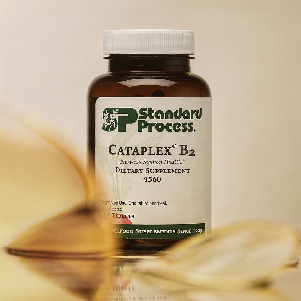 Cataplex B2 360 Tablets - Nervous System Support