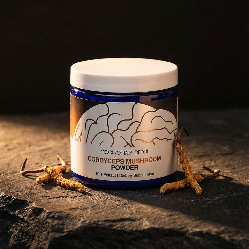 Cordyceps Militaris 10:1 Extract Powder - 60g