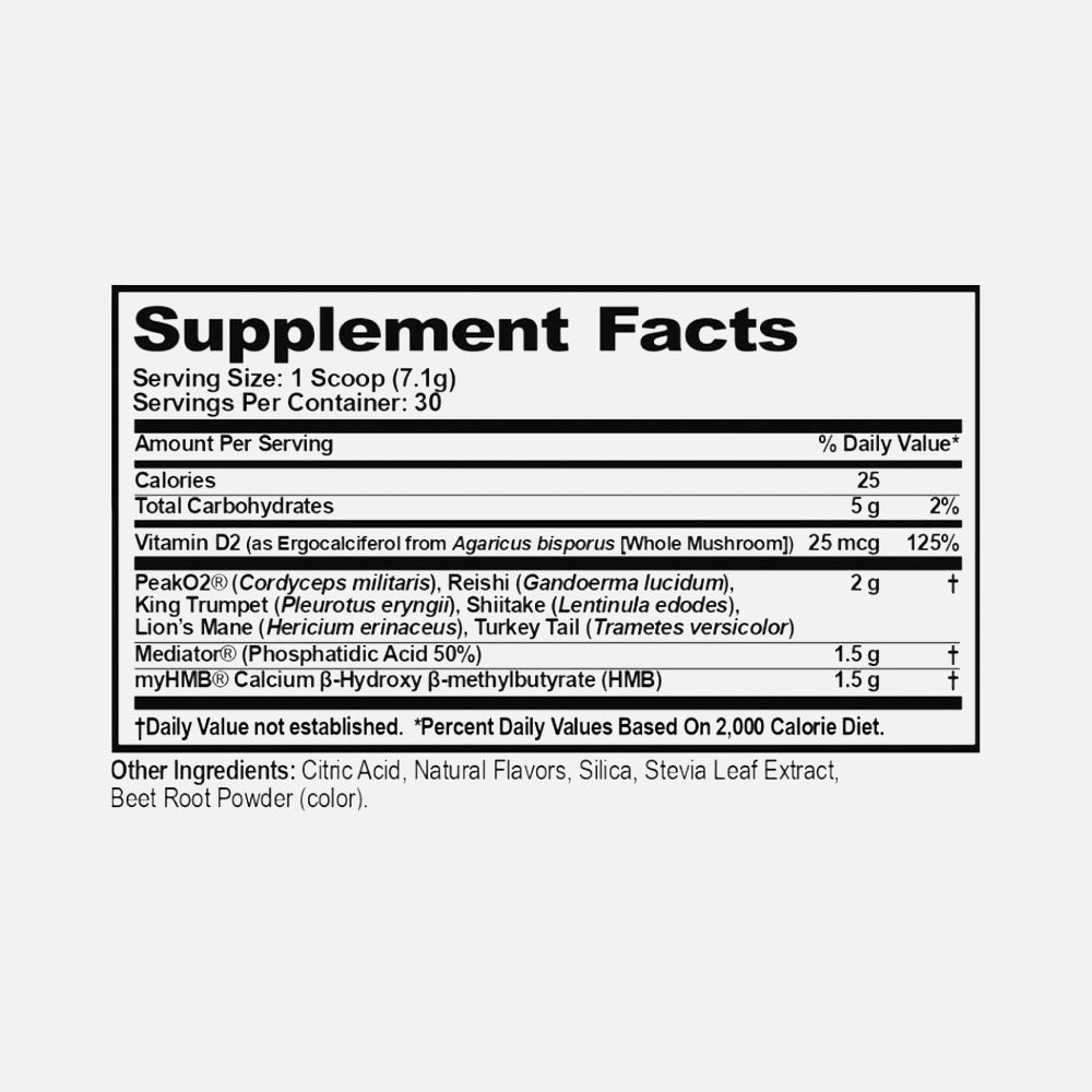 Genius Muscle Builder Workout Powder - 30 Servings
