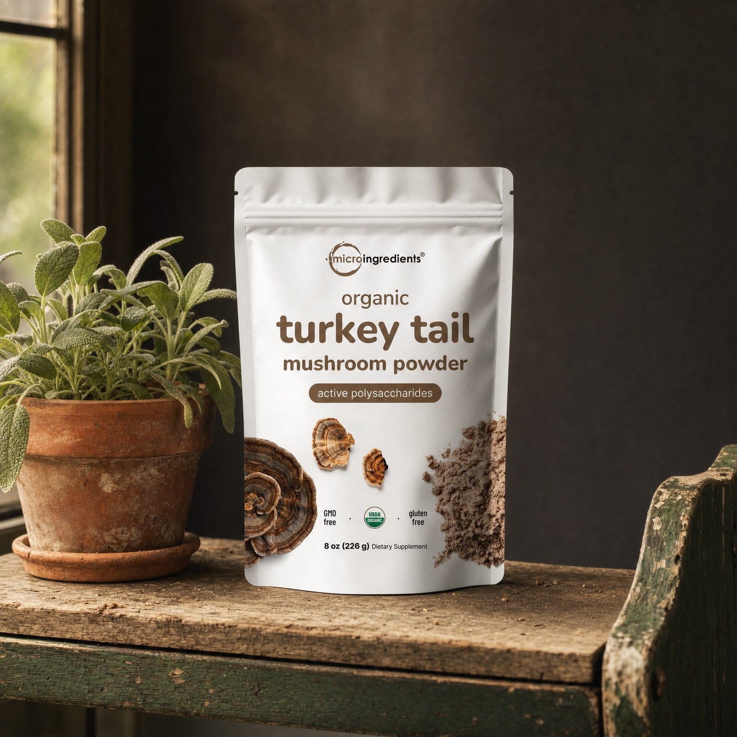 Turkey Tail Mushroom Extract