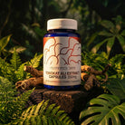 Tongkat Ali Extract 200mg (2% Eurycomanone) - 60 Capsules