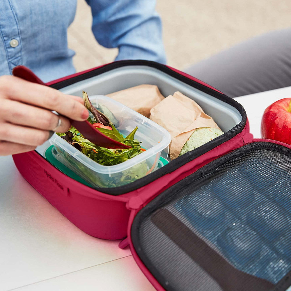 Hydro Flask Carry Out® Lunch Box 5L - Snapper