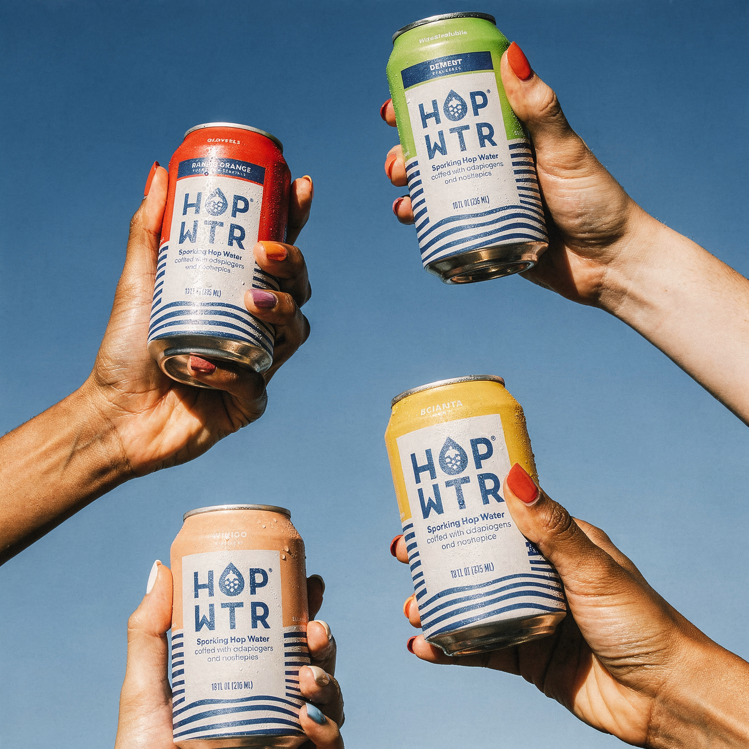 HOP WTR Sparkling Hop Water - 12 x 12oz Cans Variety