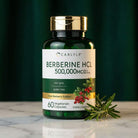 Berberine HCl 500,000mcg - 60 Vegetarian Capsules