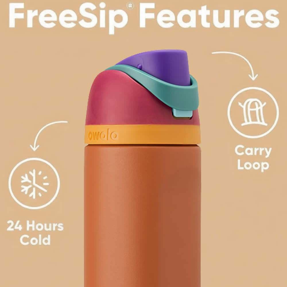 Owala FreeSip Insulated Bottle 24oz - Plum/Brown