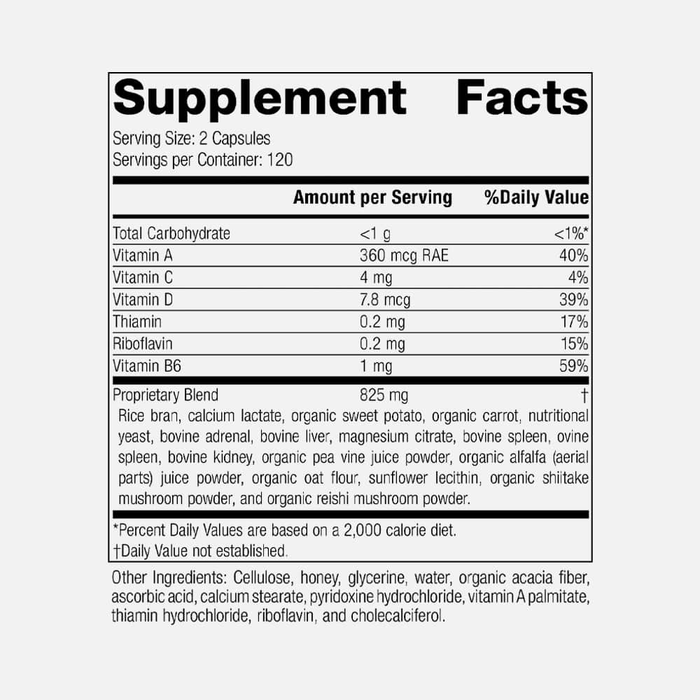 Standard Process Catalyn Gluten Free - 240 Capsules