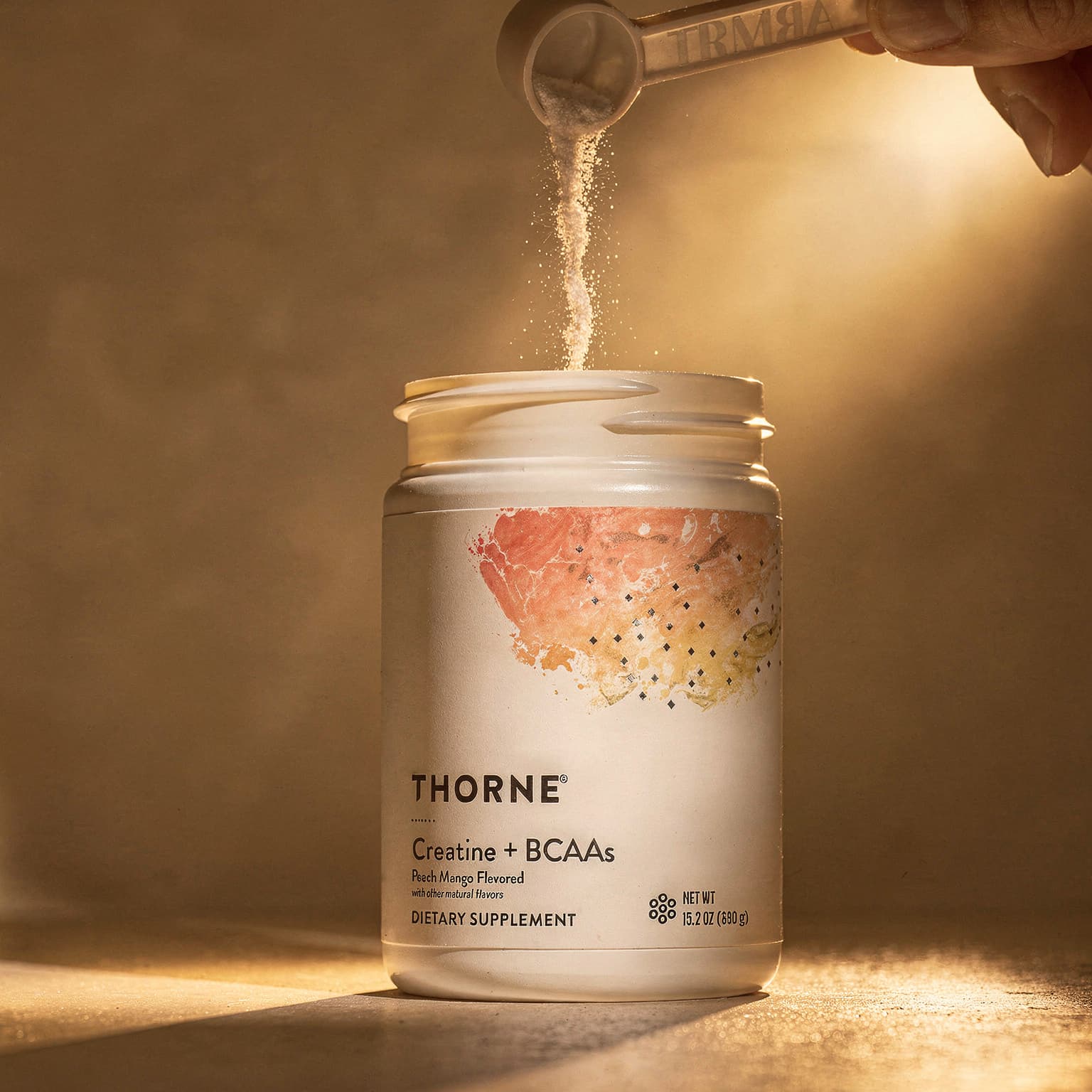 Creatine Monohydrate + BCAAs - 30 Servings Powder